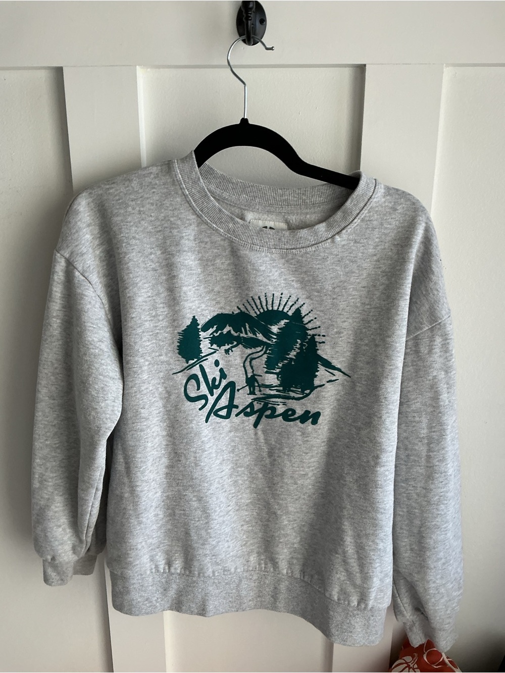 C&C California Gray Crewneck with Teal Ski Aspen Graphic